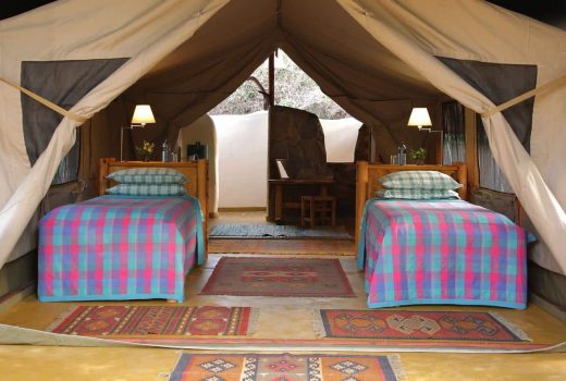 Kitich Camp Mathews Forest